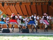 Šariš polka